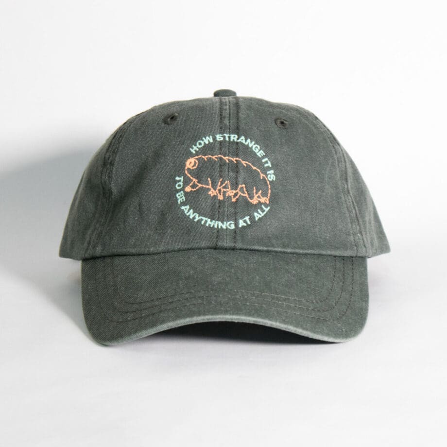 How Strange it is to be anything Dad Hat by Crewel and Unusual