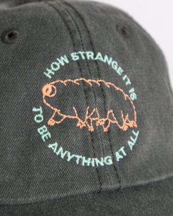 How Strange it is to be anything Dad Hat by Crewel and Unusual