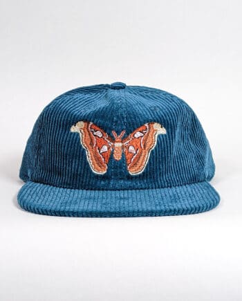 Atlas Moth Corduroy Hat