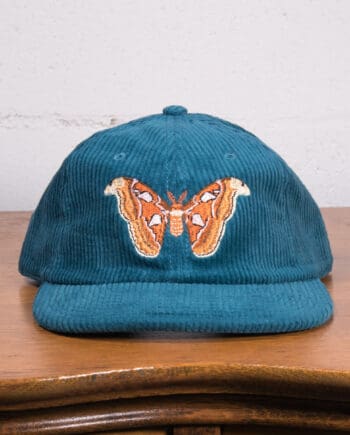Atlas Moth Corduroy Hat