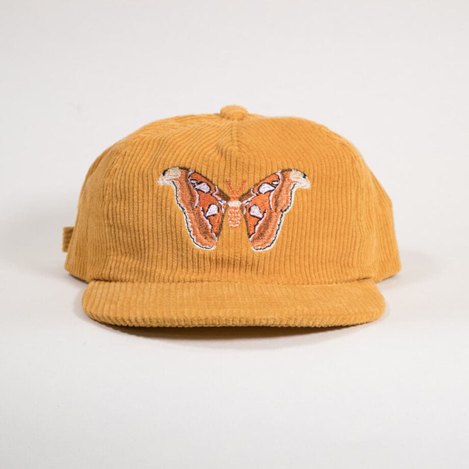 Atlas Moth Corduroy Hat