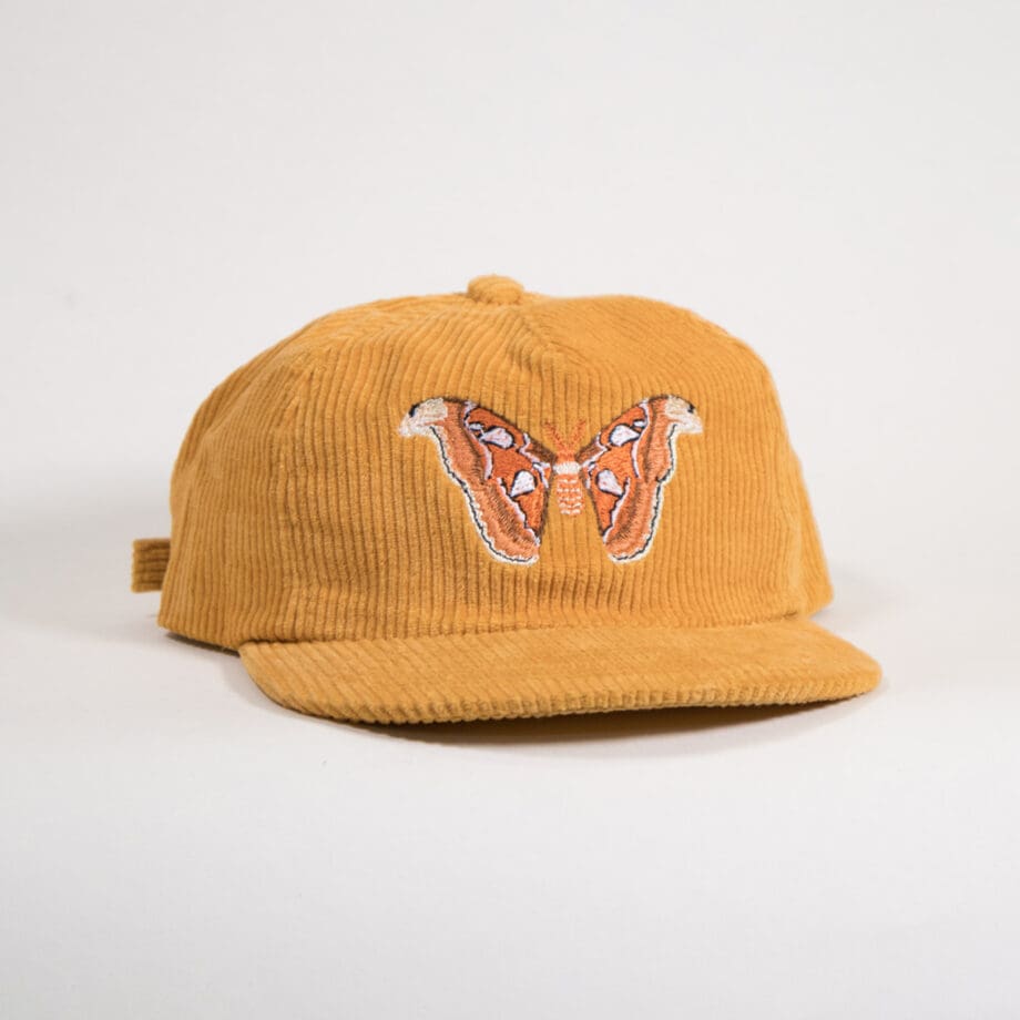 Atlas Moth Corduroy Hat - Image 6