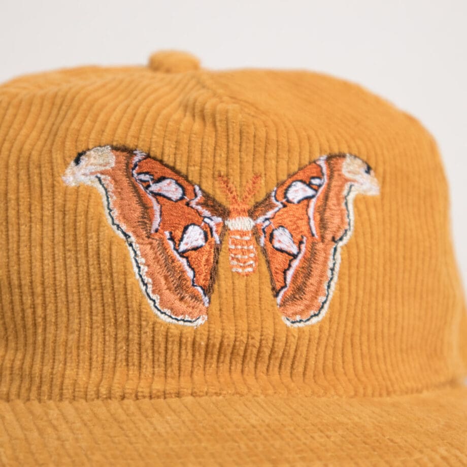 Atlas Moth Corduroy Hat - Image 2