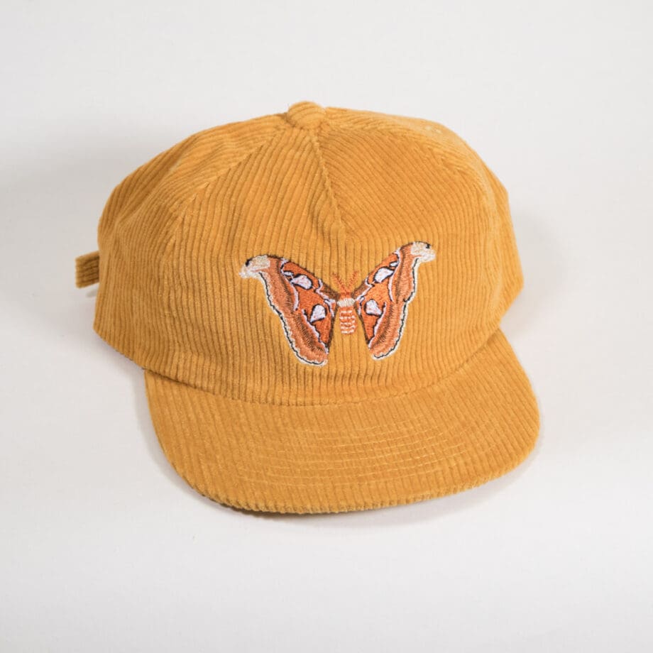 Atlas Moth Corduroy Hat - Image 3