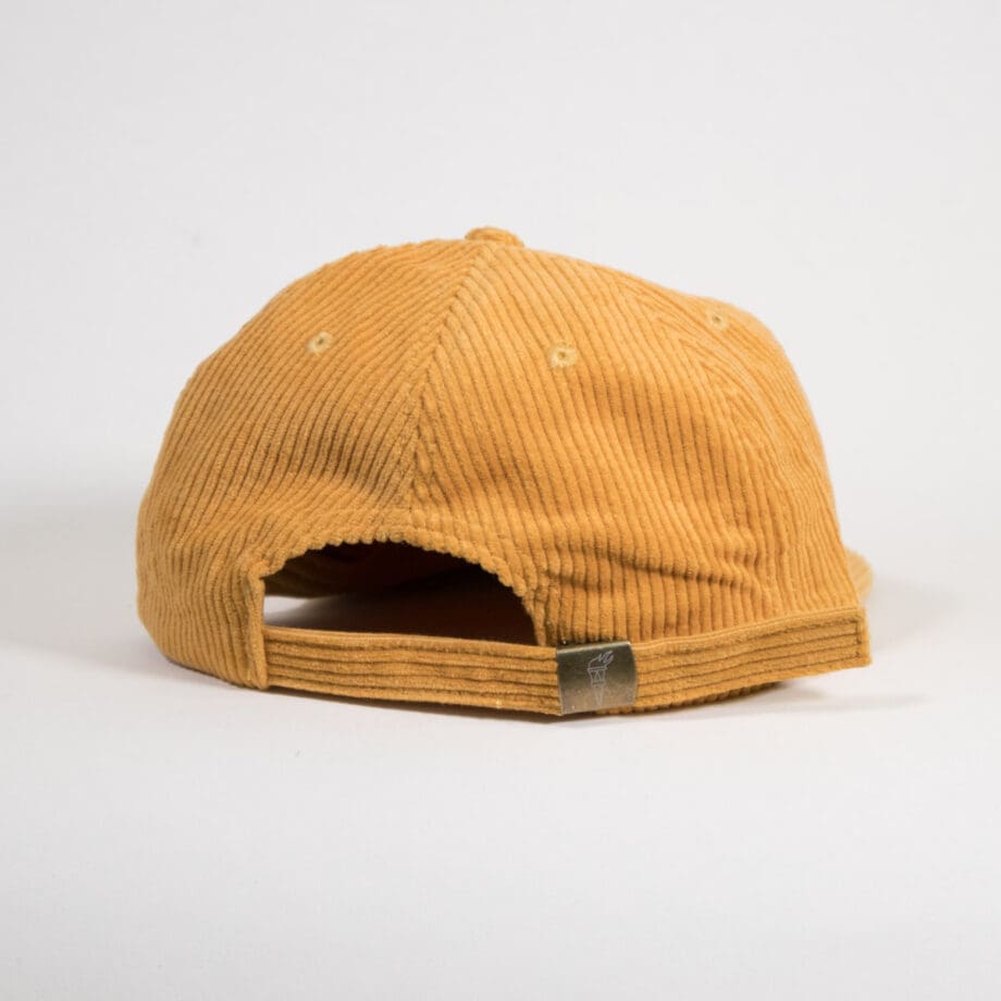 Atlas Moth Corduroy Hat - Image 4