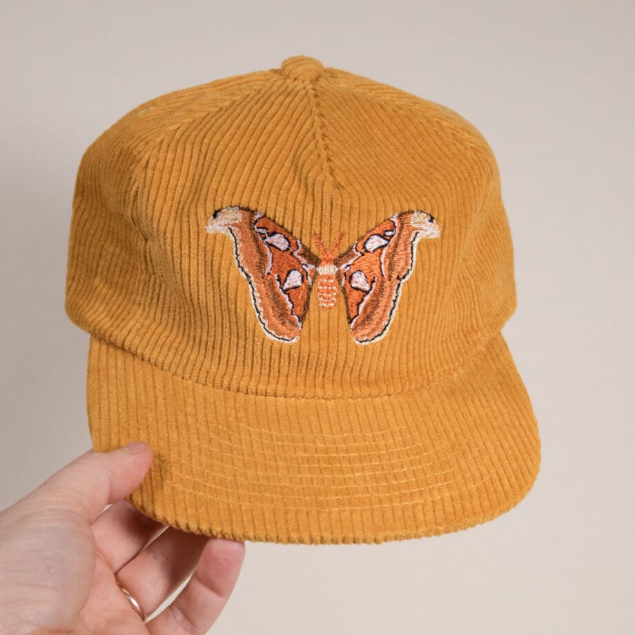 Atlas Moth Corduroy Hat - Image 5