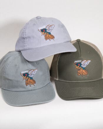 Cicada Rhythm Cap