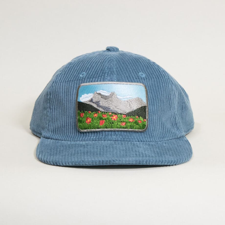 Meadow View Corduroy Cap