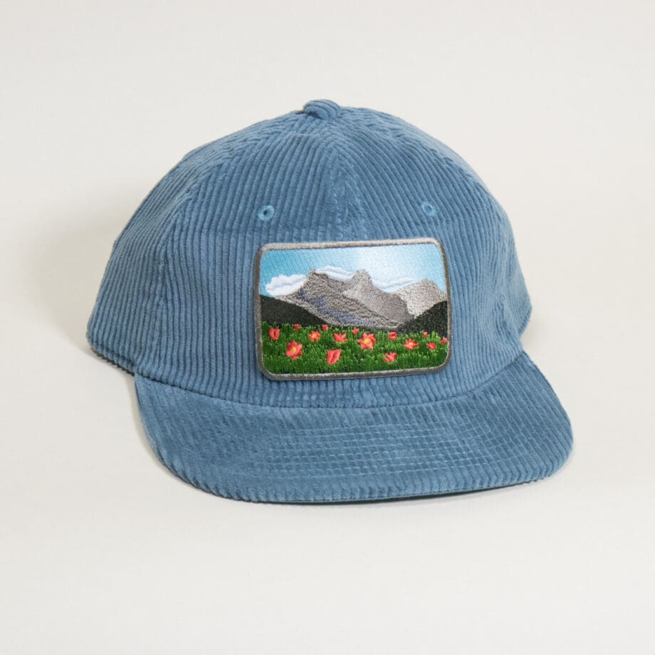Meadow View Corduroy Cap - Image 3