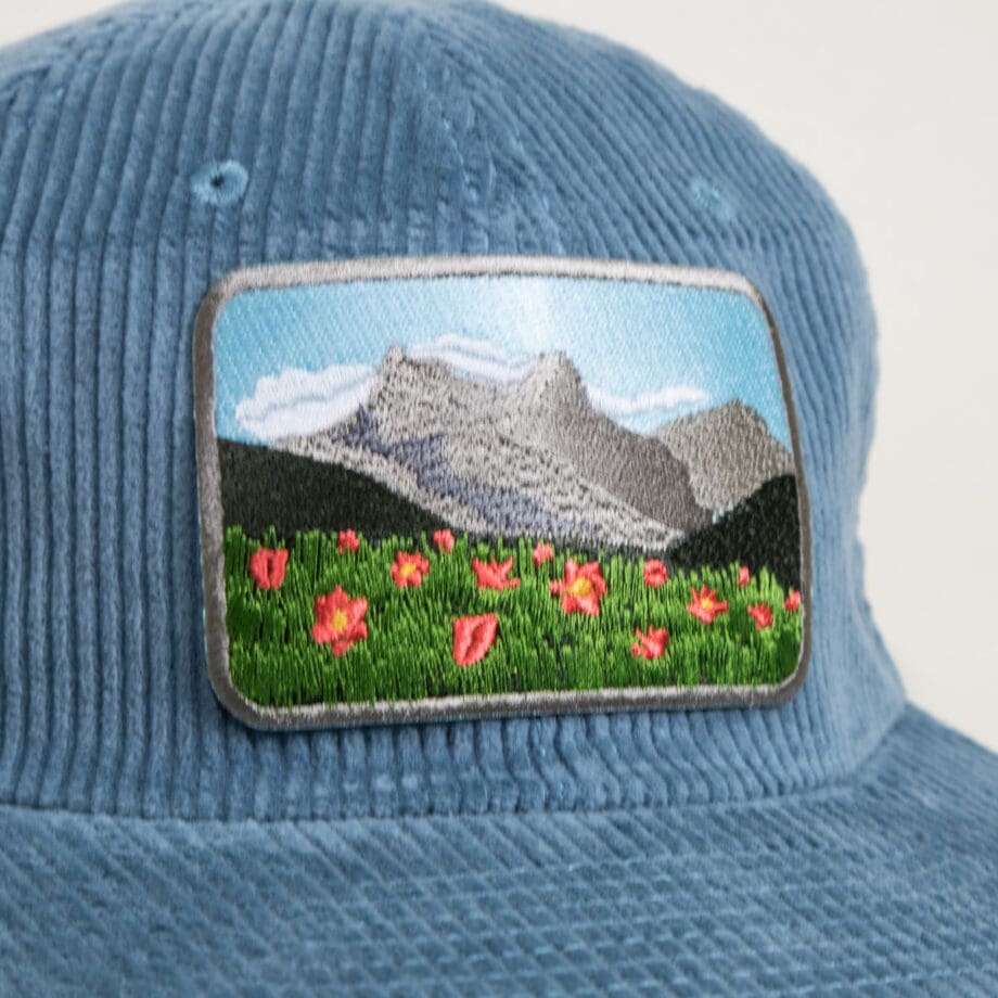 Meadow View Corduroy Cap - Image 2