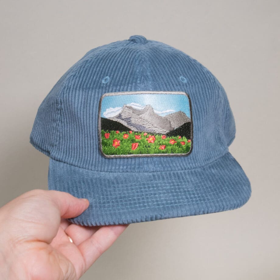 Meadow View Corduroy Cap - Image 4