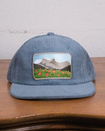 Meadow View Corduroy Cap