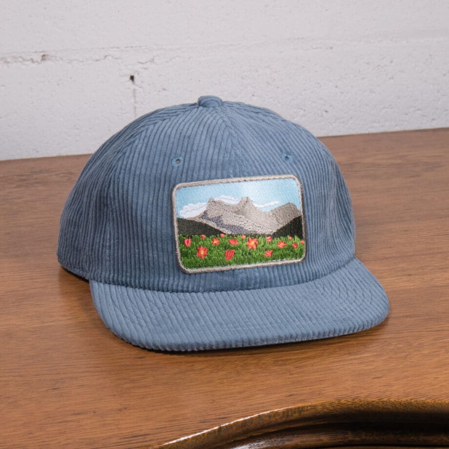Meadow View Corduroy Cap - Image 5