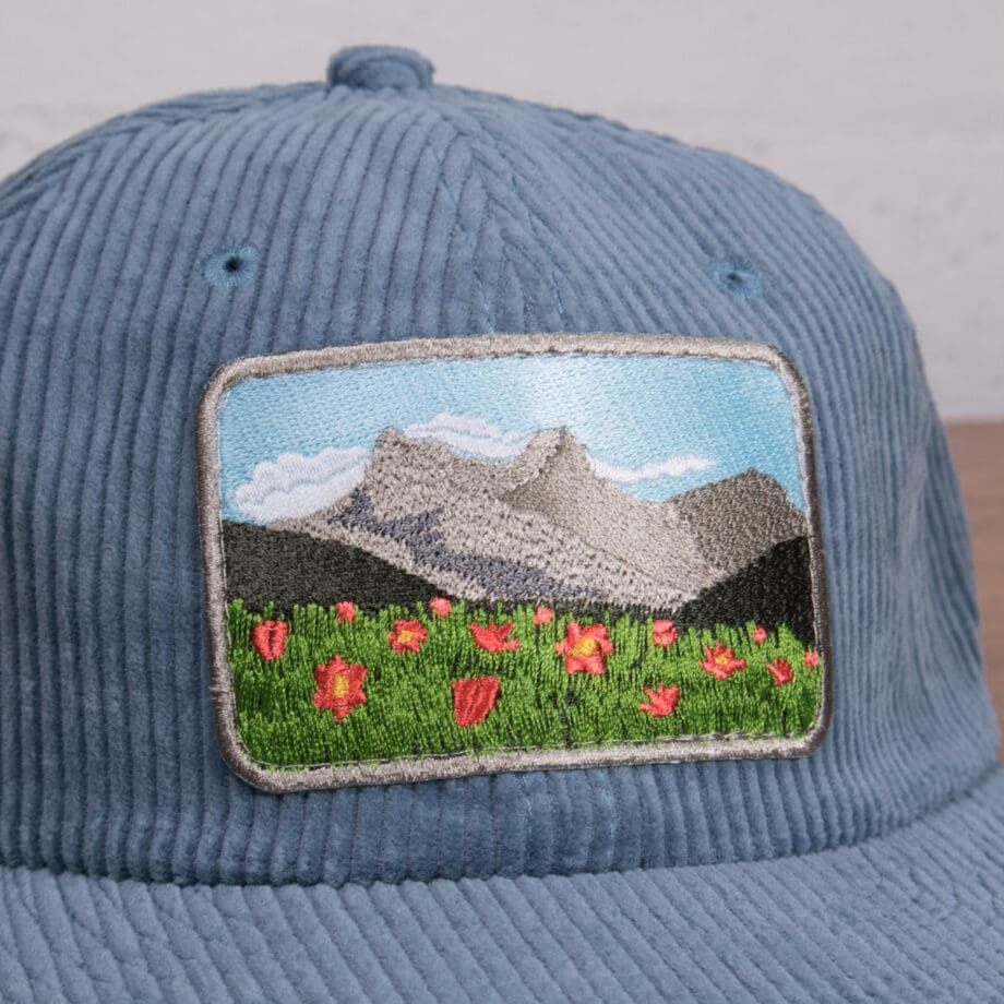 Meadow View Corduroy Cap - Image 2
