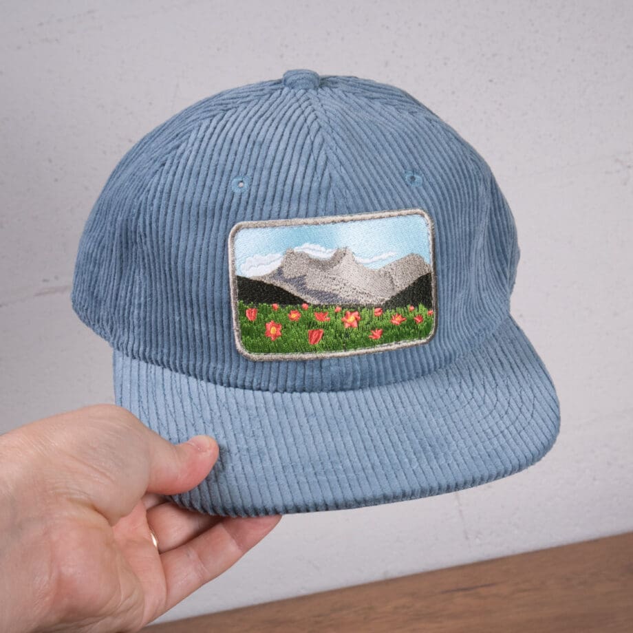 Meadow View Corduroy Cap - Image 3